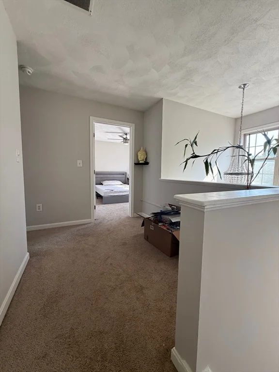 3 bed, 2 bath apartment for rent at 10 Ptarmigan Dr Unit 10, Shrewsbury — photo 17 of 38