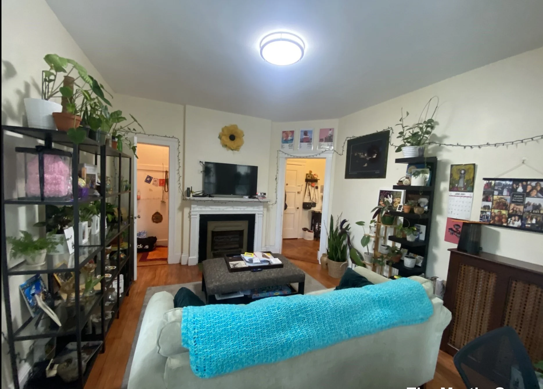1 bed, 1 bath apartment for rent at 10 Remington St Unit 208, Harvard Square — photo 2 of 14