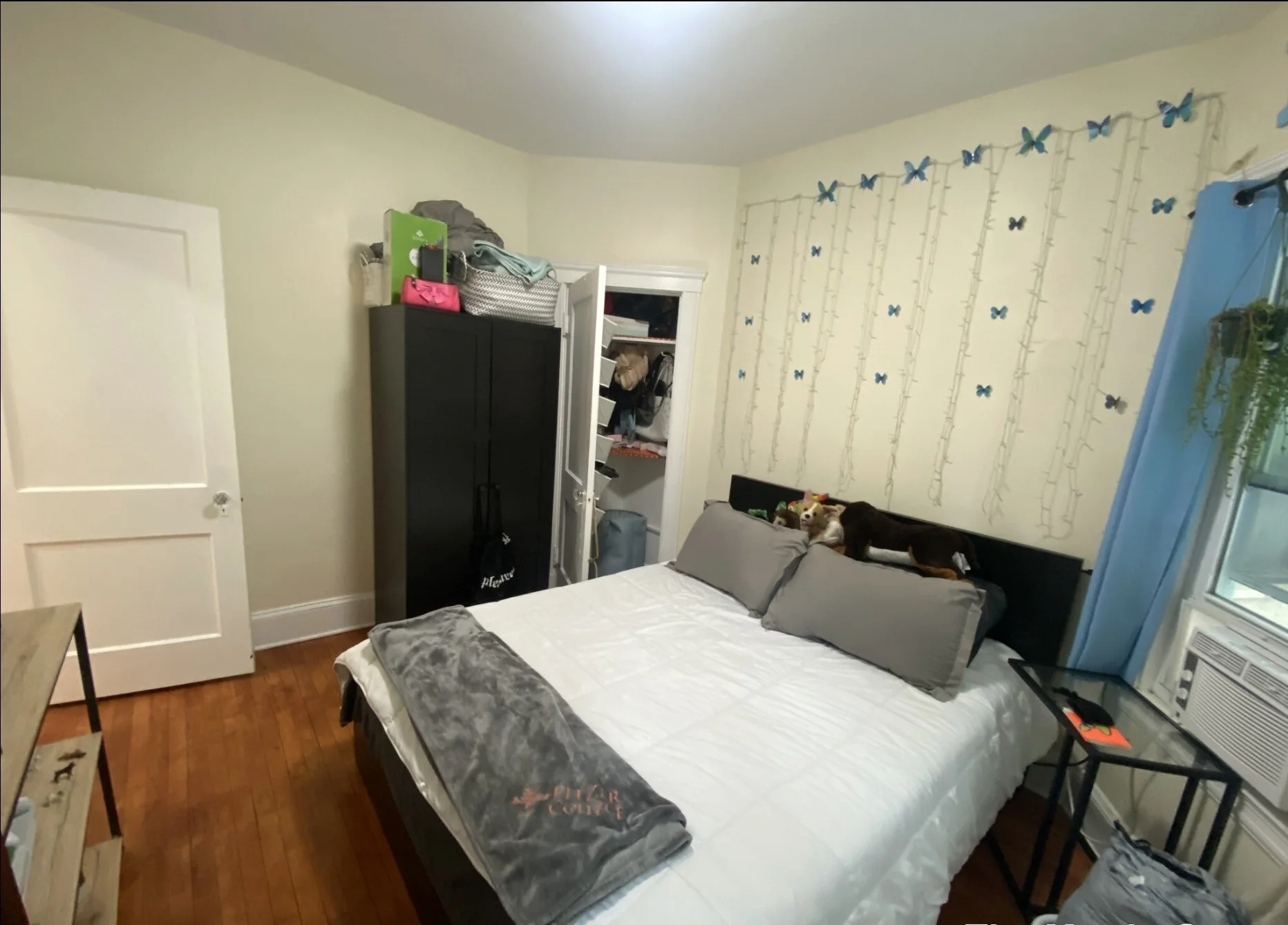1 bed, 1 bath apartment for rent at 10 Remington St Unit 208, Harvard Square — photo 5 of 14