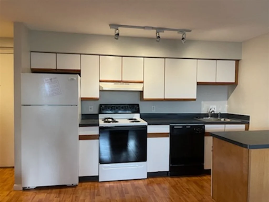 1 bed, 1 bath apartment for rent at 10 Roberts St Unit 21, Magoun Square — photo 1 of 15