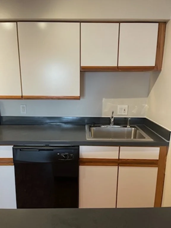 1 bed, 1 bath apartment for rent at 10 Roberts St Unit 21, Magoun Square — photo 6 of 15