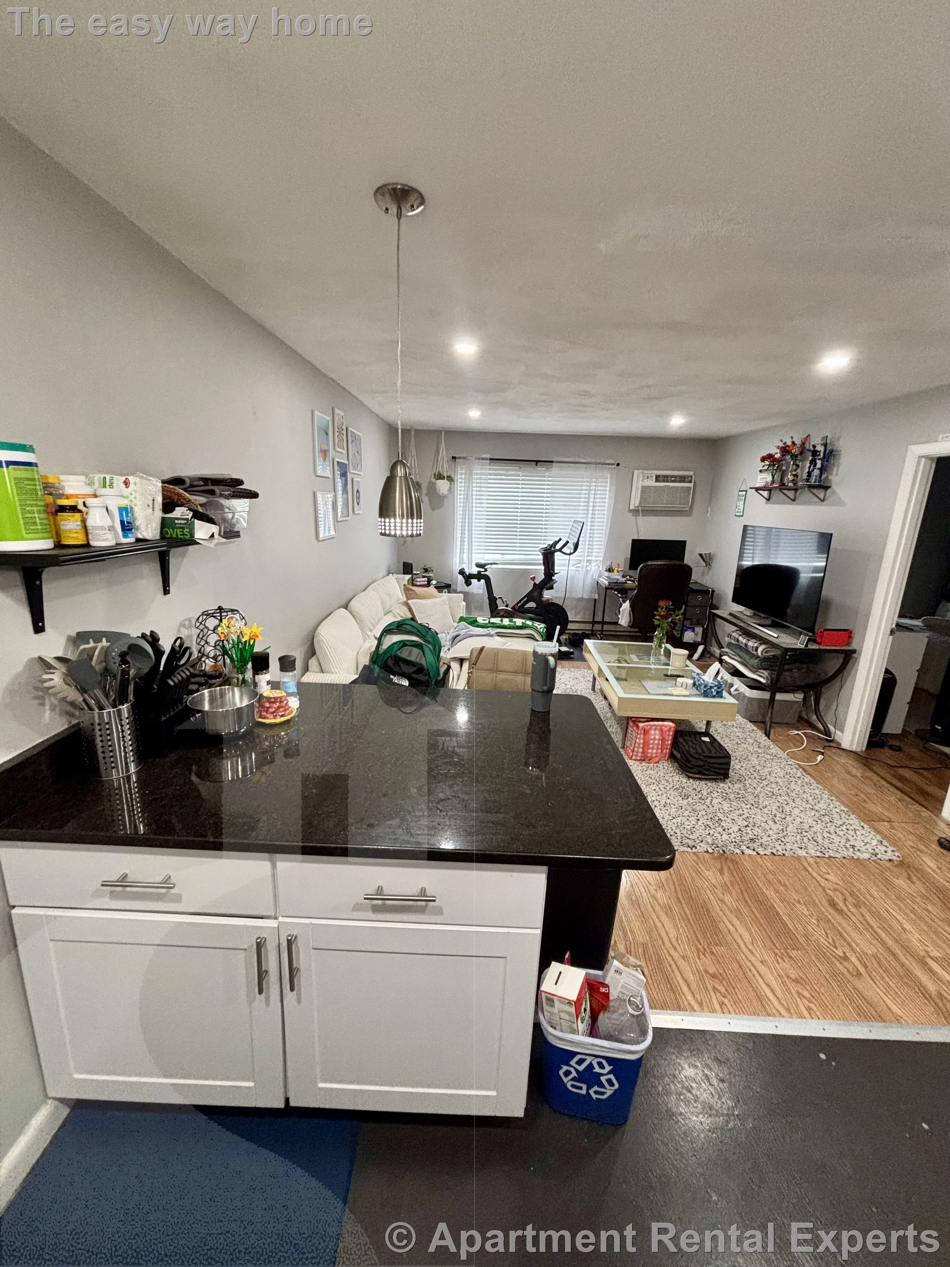 1 bed, 1 bath apartment for rent at 10 Roberts St Unit 34, Magoun Square — photo 3 of 15