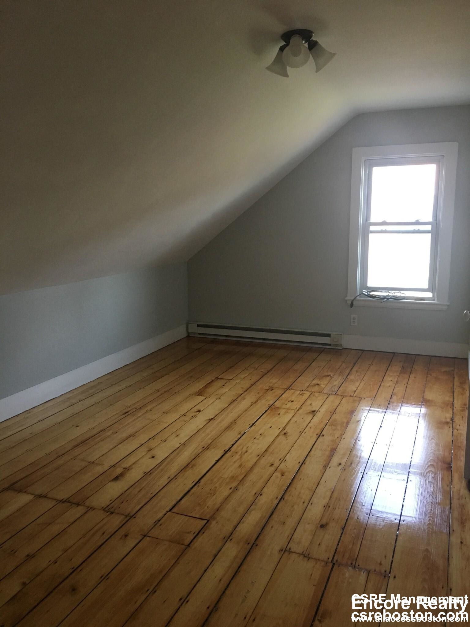 6 bed, 2 bath apartment for rent at 10 Saunders St Unit 10, Allston — photo 6 of 16