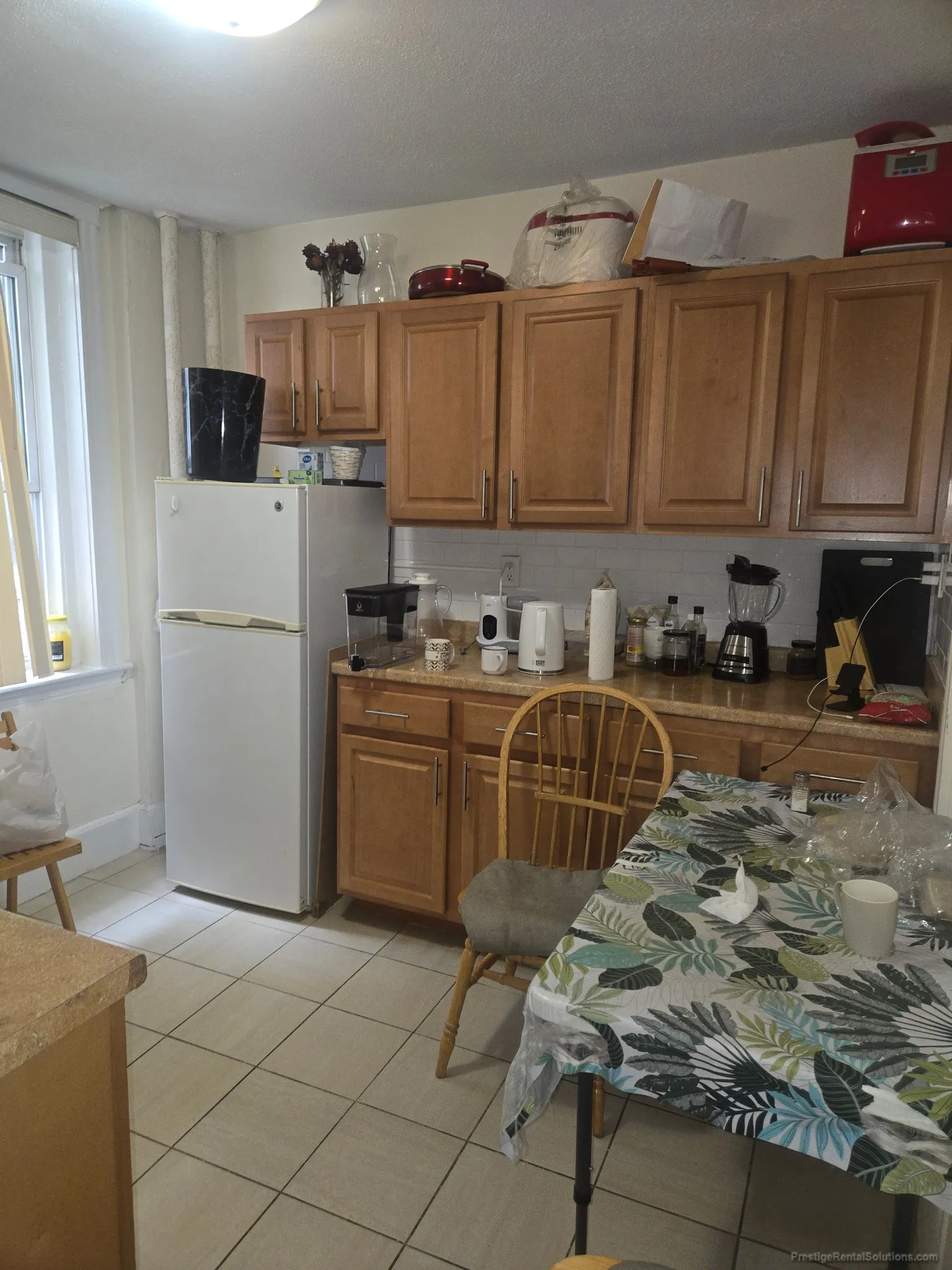 2 bed, 1 bath apartment for rent at 10 Scottfield Rd Unit B12, Allston — photo 2 of 9