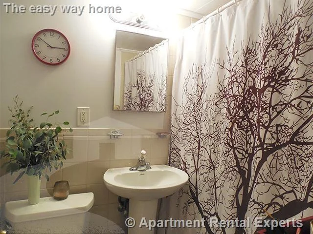 Studio bed, 1 bath apartment for rent at 10 Smith Ave Unit 1R, Ward Two — photo 5 of 6