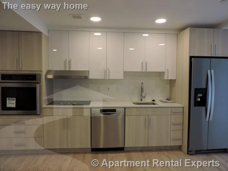 1 bed, 1 bath apartment for rent at 10 Soden St Unit 103, Central Square — photo 2 of 10