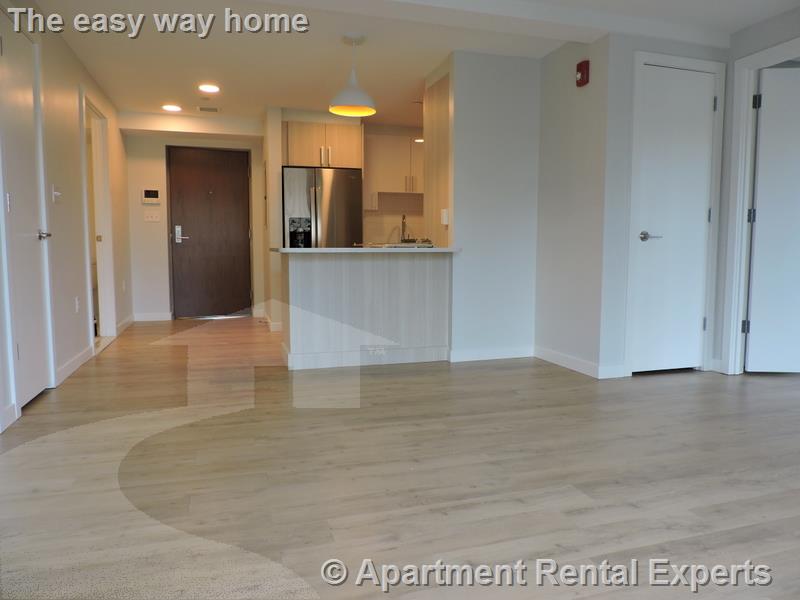 2 bed, 2 bath apartment for rent at 10 Soden St Unit 407, Central Square — photo 3 of 12