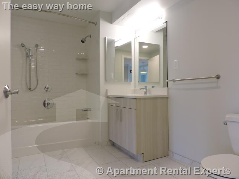 2 bed, 2 bath apartment for rent at 10 Soden St Unit 407, Central Square — photo 9 of 12