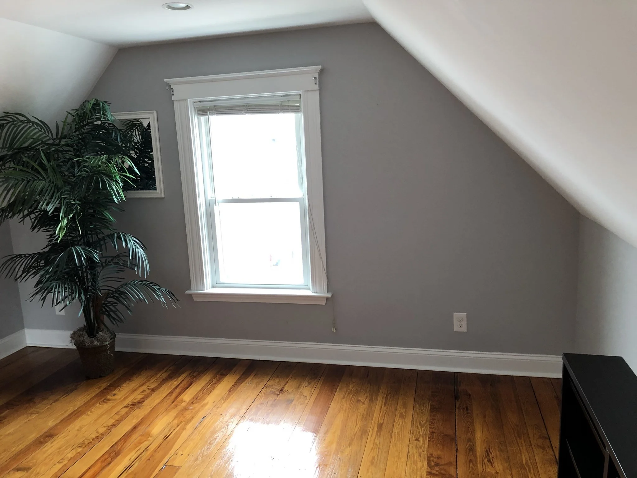 1 bed, 1 bath apartment for rent at 10 Tolman St Unit 3, Dorchester — photo 6 of 11