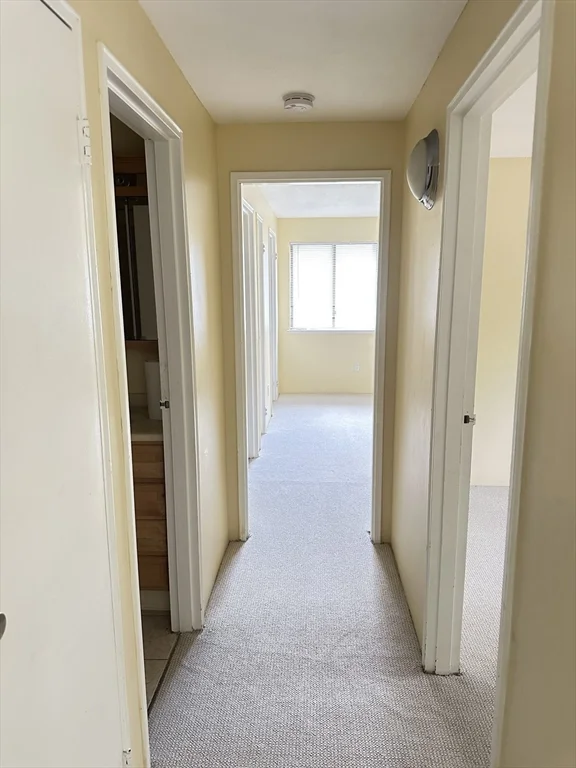 2 bed, 2 bath apartment for rent at 10 Village Hill Ln Unit 7, Natick — photo 4 of 7