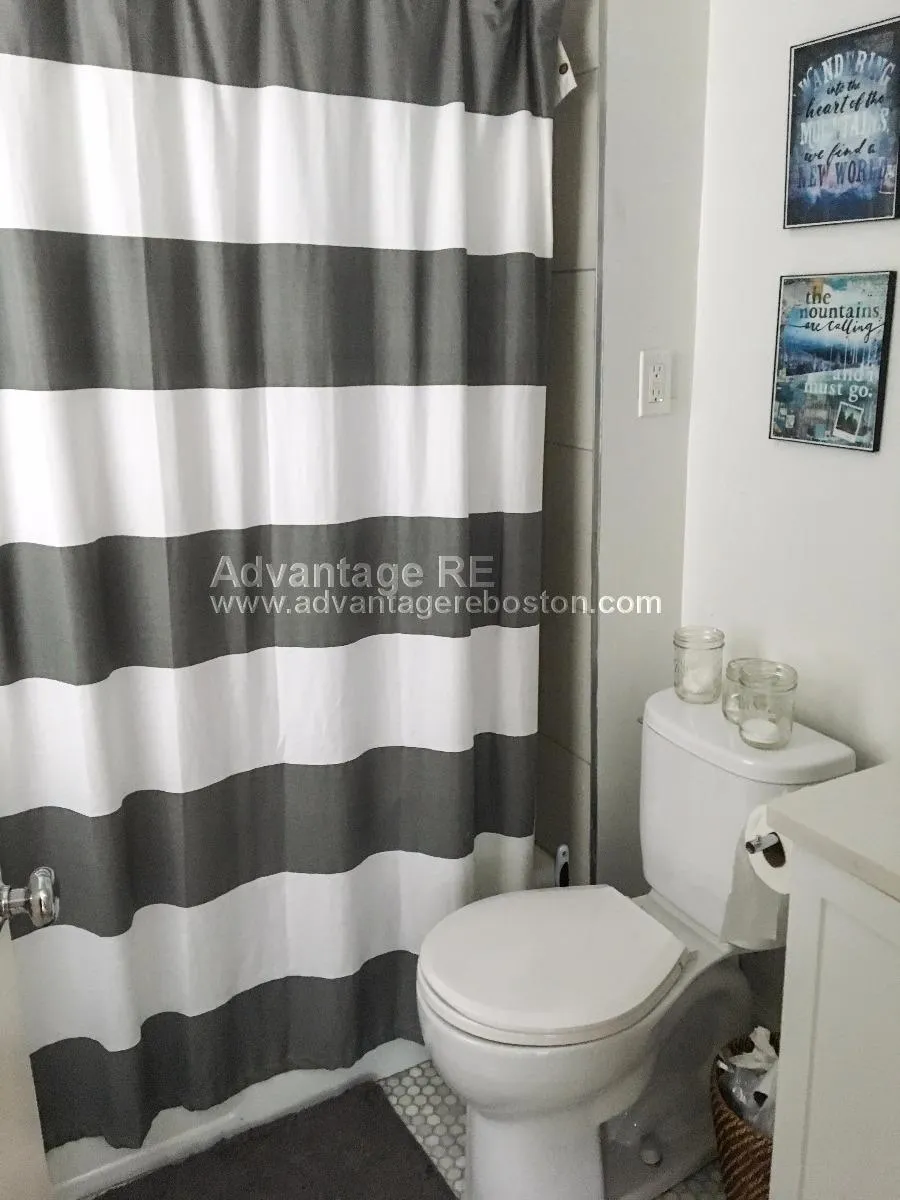 2 bed, 1 bath apartment for rent at 10 Wiget St Unit 7, North End — photo 25 of 48