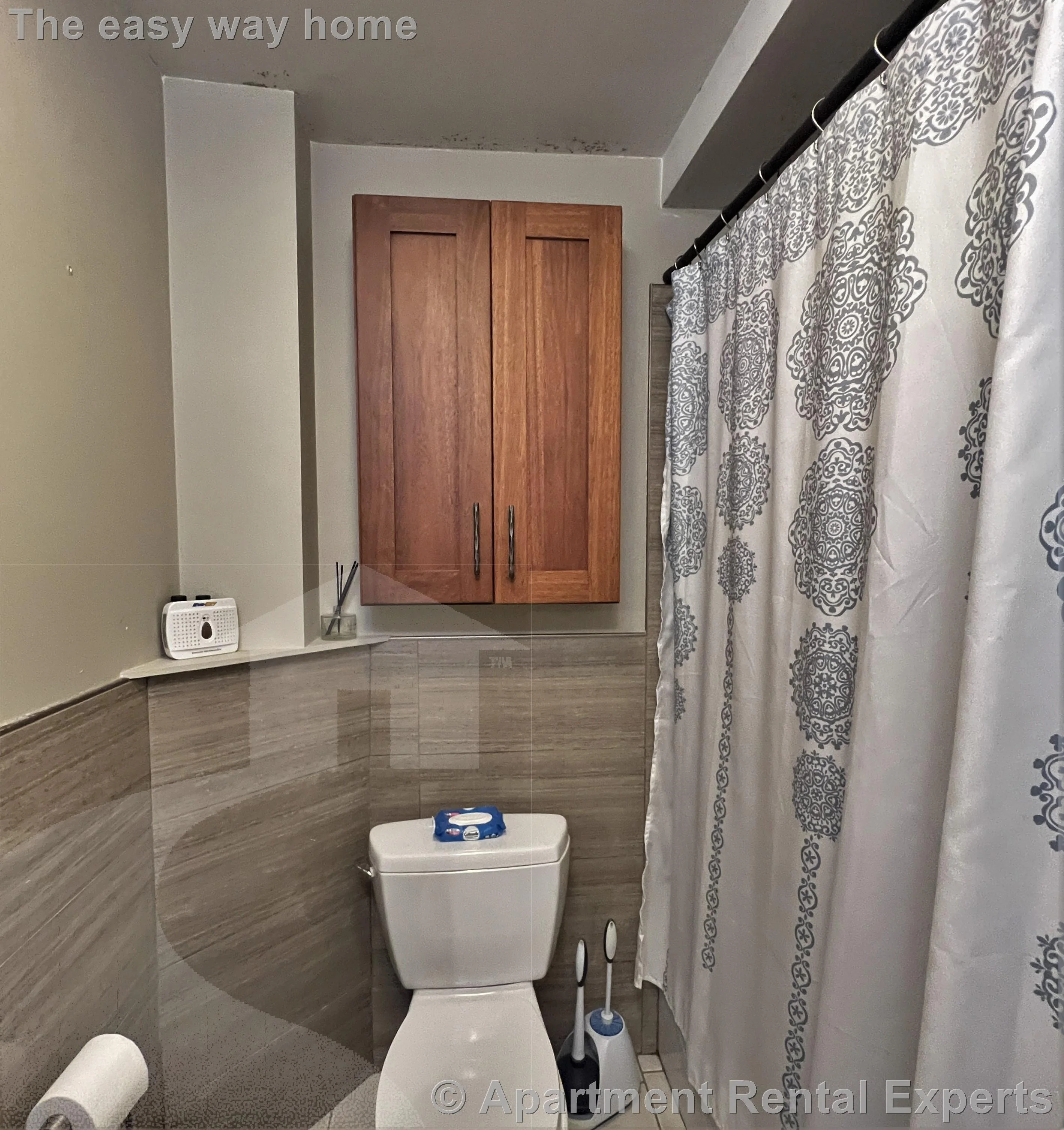 2 bed, 1 bath apartment for rent at 10 Winchester Ct Unit 1, Tufts — photo 15 of 22