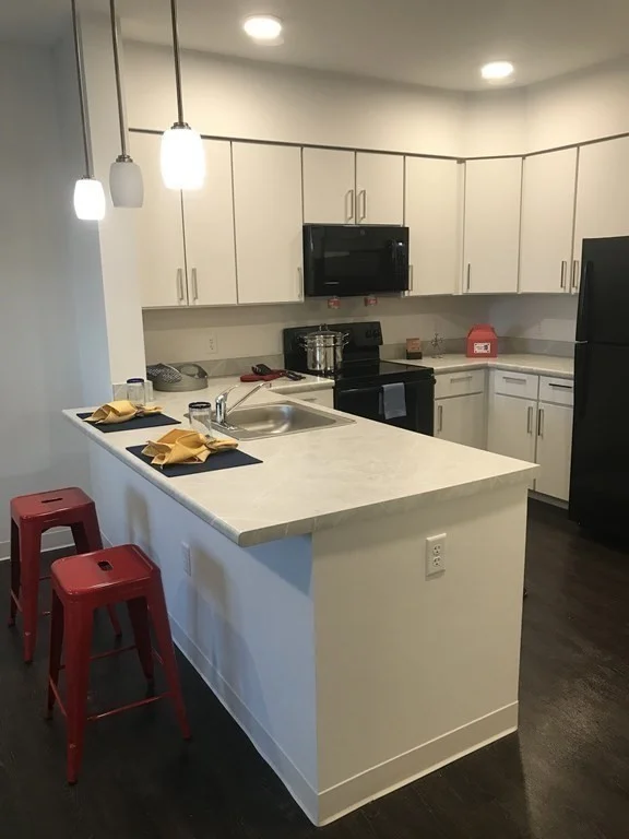1 bed, 1 bath apartment for rent at 100 Cabot St Unit 214, Mission Hill — photo 3 of 14