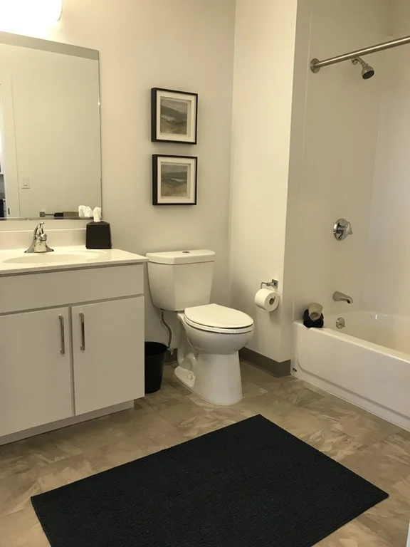 1 bed, 1 bath apartment for rent at 100 Cabot St Unit A312, Mission Hill — photo 10 of 17