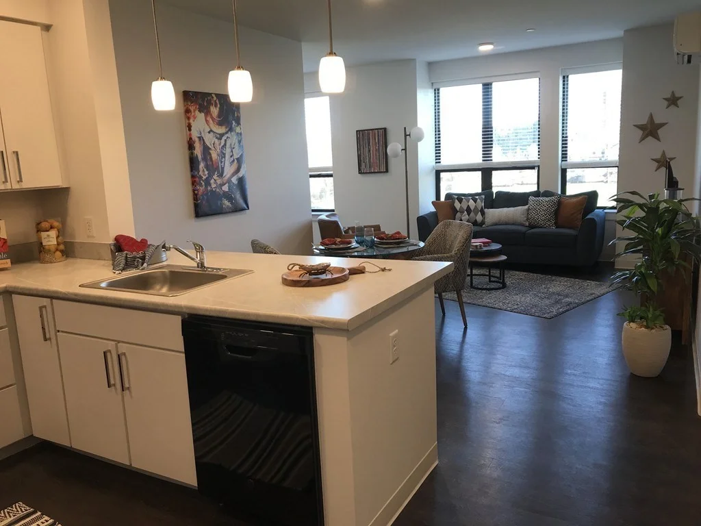 1 bed, 1 bath apartment for rent at 100 Cabot St Unit A312, Mission Hill — photo 2 of 17