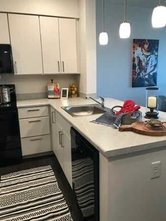 1 bed, 1 bath apartment for rent at 100 Cabot St Unit A312, Mission Hill — photo 3 of 17