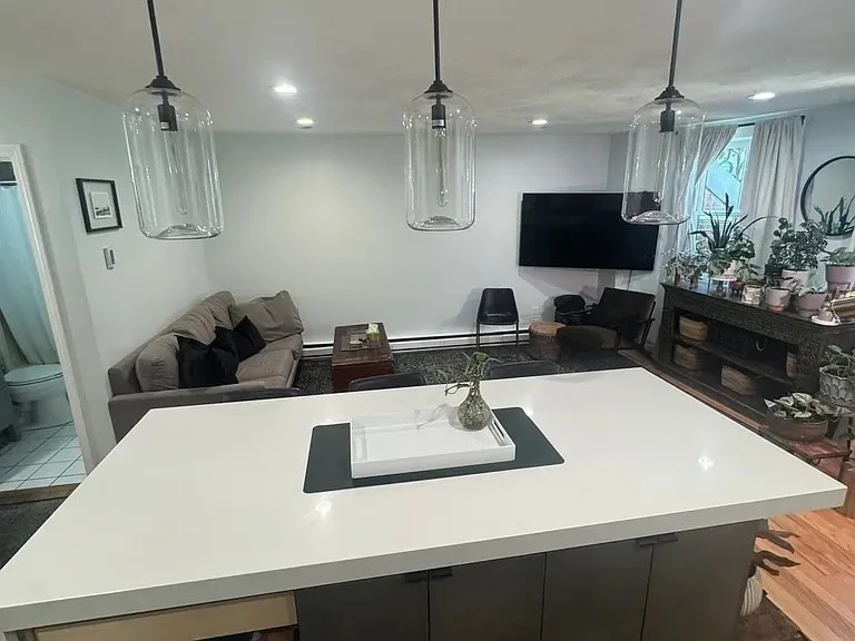 2 bed, 1 bath apartment for rent at 100 E Brookline St Unit 1, South End — photo 5 of 13