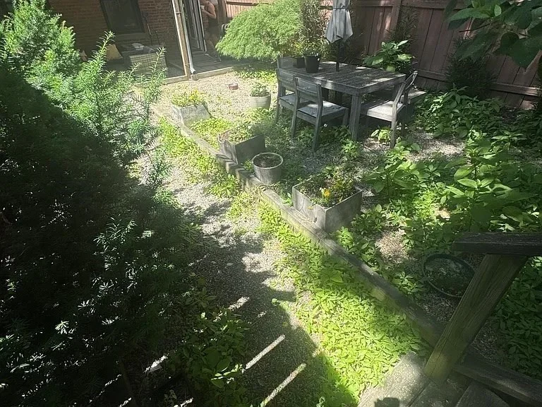 2 bed, 1 bath apartment for rent at 100 E Brookline St Unit 1, South End — photo 10 of 13