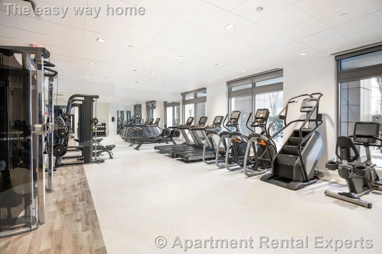 1 bed, 1 bath apartment for rent at 100 Landsdowne St Unit 1510, Central Square — photo 11 of 11