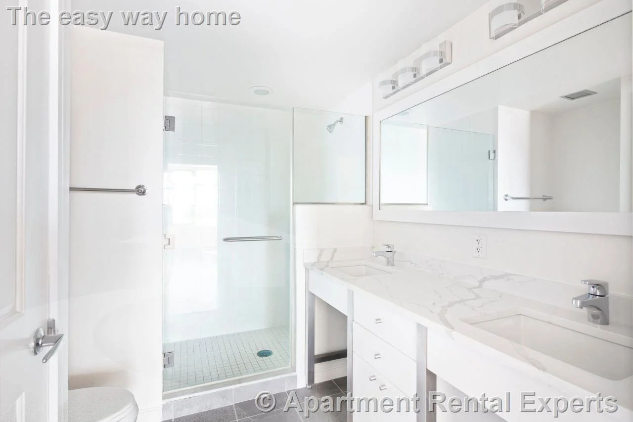 1 bed, 1 bath apartment for rent at 100 Landsdowne St Unit 1510, Central Square — photo 2 of 11