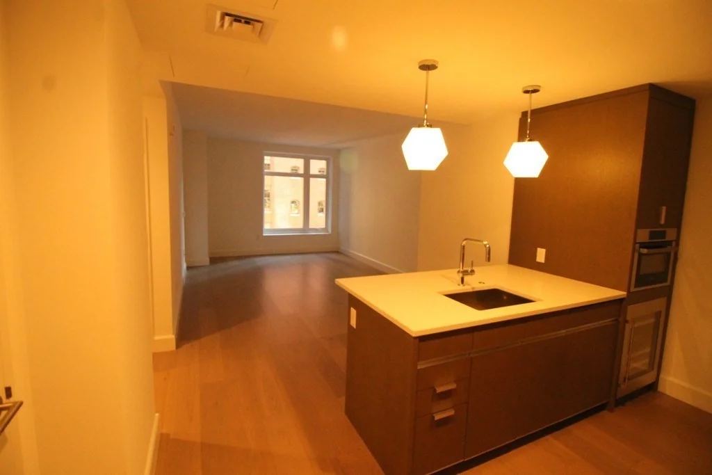 1 bed, 1 bath apartment for rent at 100 Lovejoy Unit 5M, West End — photo 3 of 24