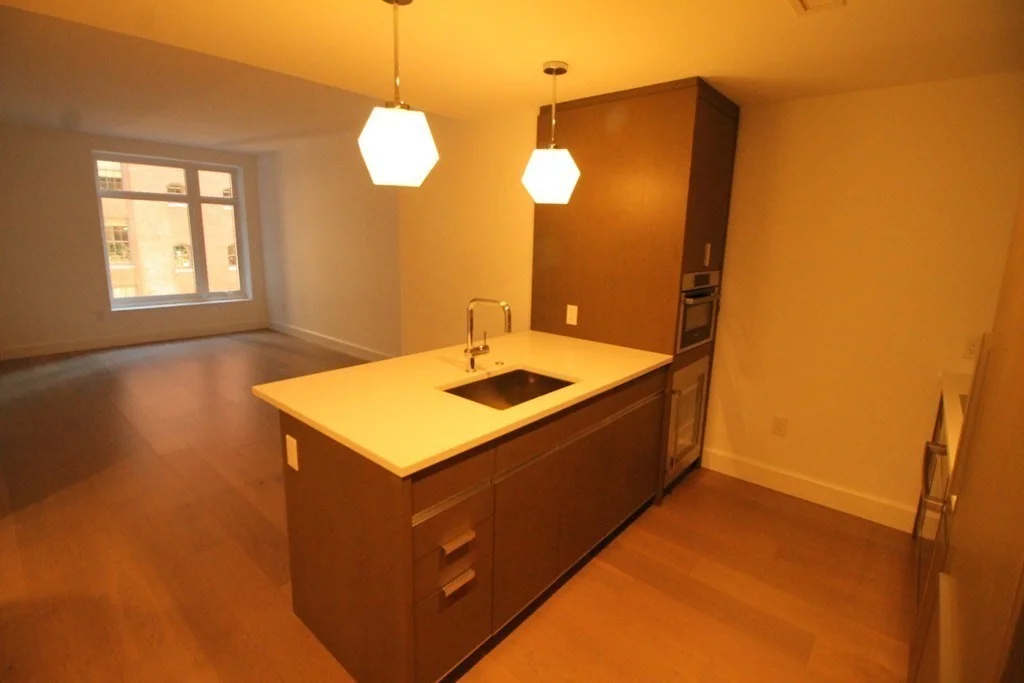 1 bed, 1 bath apartment for rent at 100 Lovejoy Unit 5M, West End — photo 2 of 24