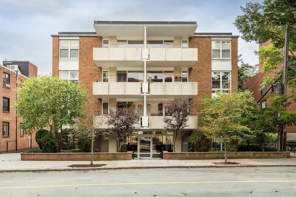 1 bed, 1 bath apartment for rent at 100 Marion St Unit 11, Griggs Park — photo 12 of 12