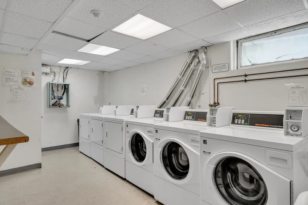 1 bed, 1 bath apartment for rent at 100 Marion St Unit 11, Griggs Park — photo 11 of 12