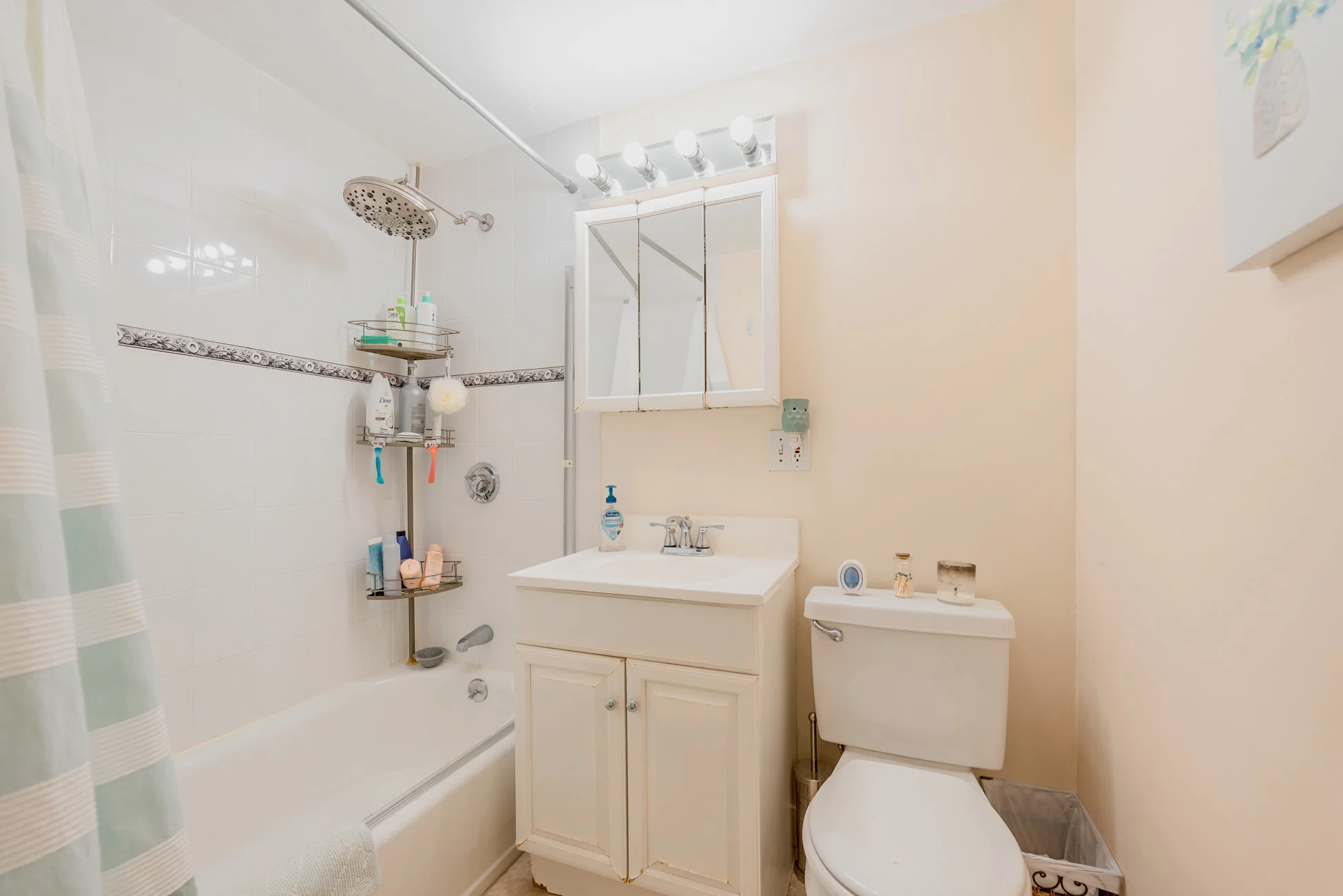 1 bed, 1 bath apartment for rent at 100 Marion St Unit 23, Griggs Park — photo 9 of 9