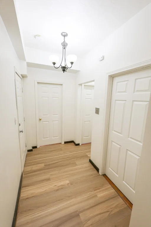 2 bed, 1 bath apartment for rent at 100 Seaver St Unit 8, Dorchester — photo 3 of 13