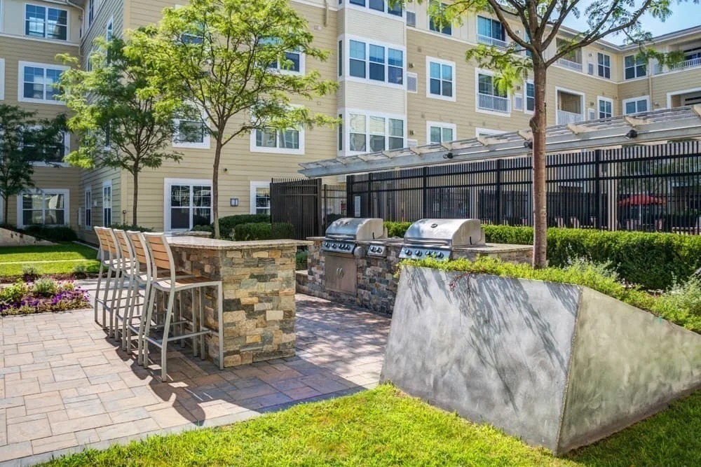 1 bed, 1 bath apartment for rent at 100 Stockton St Unit 108M, Chelsea — photo 9 of 11