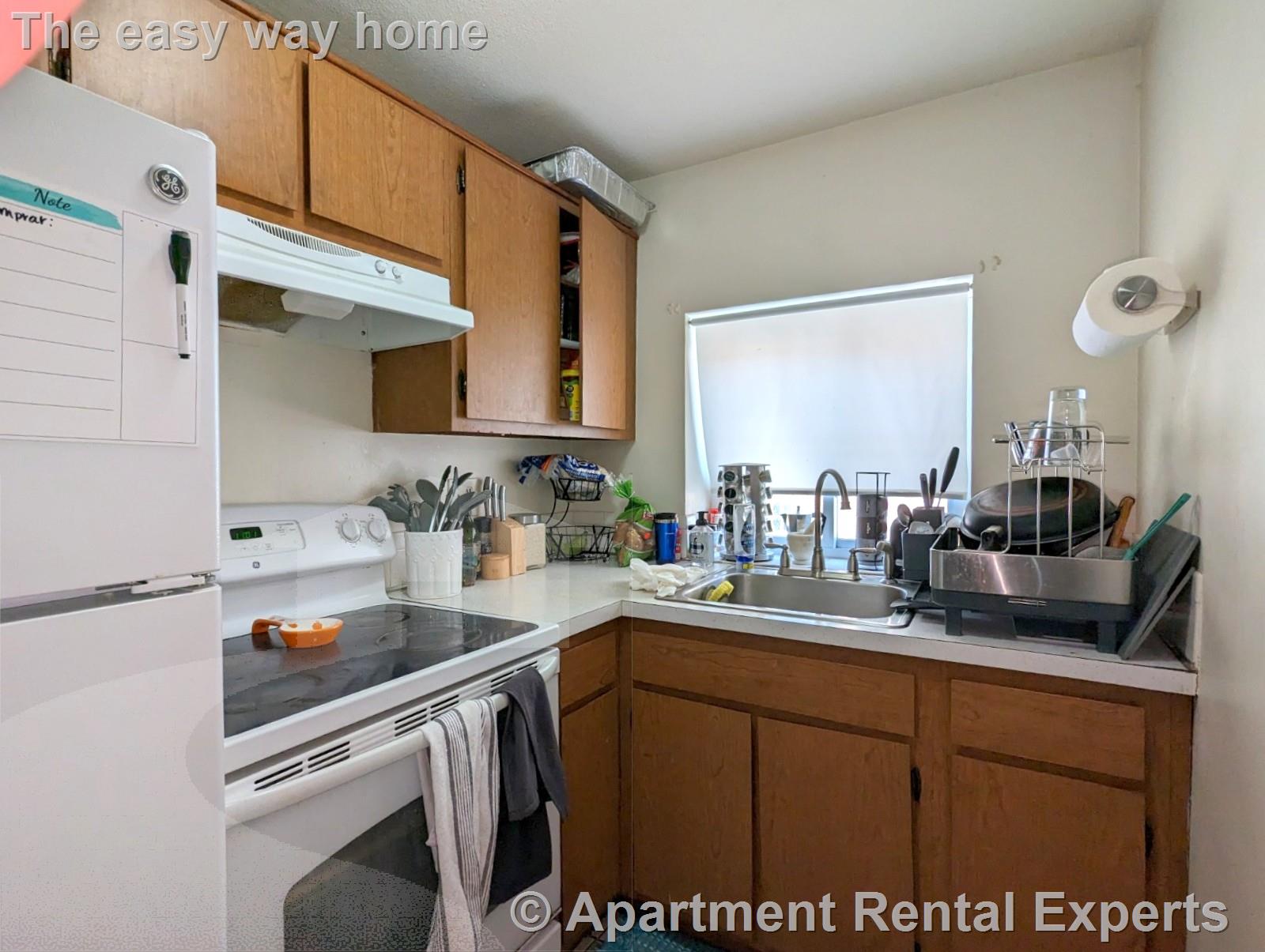 1 bed, 1 bath apartment for rent at 1003 Massachusetts Ave Unit 2, Arlington Center — photo 4 of 9