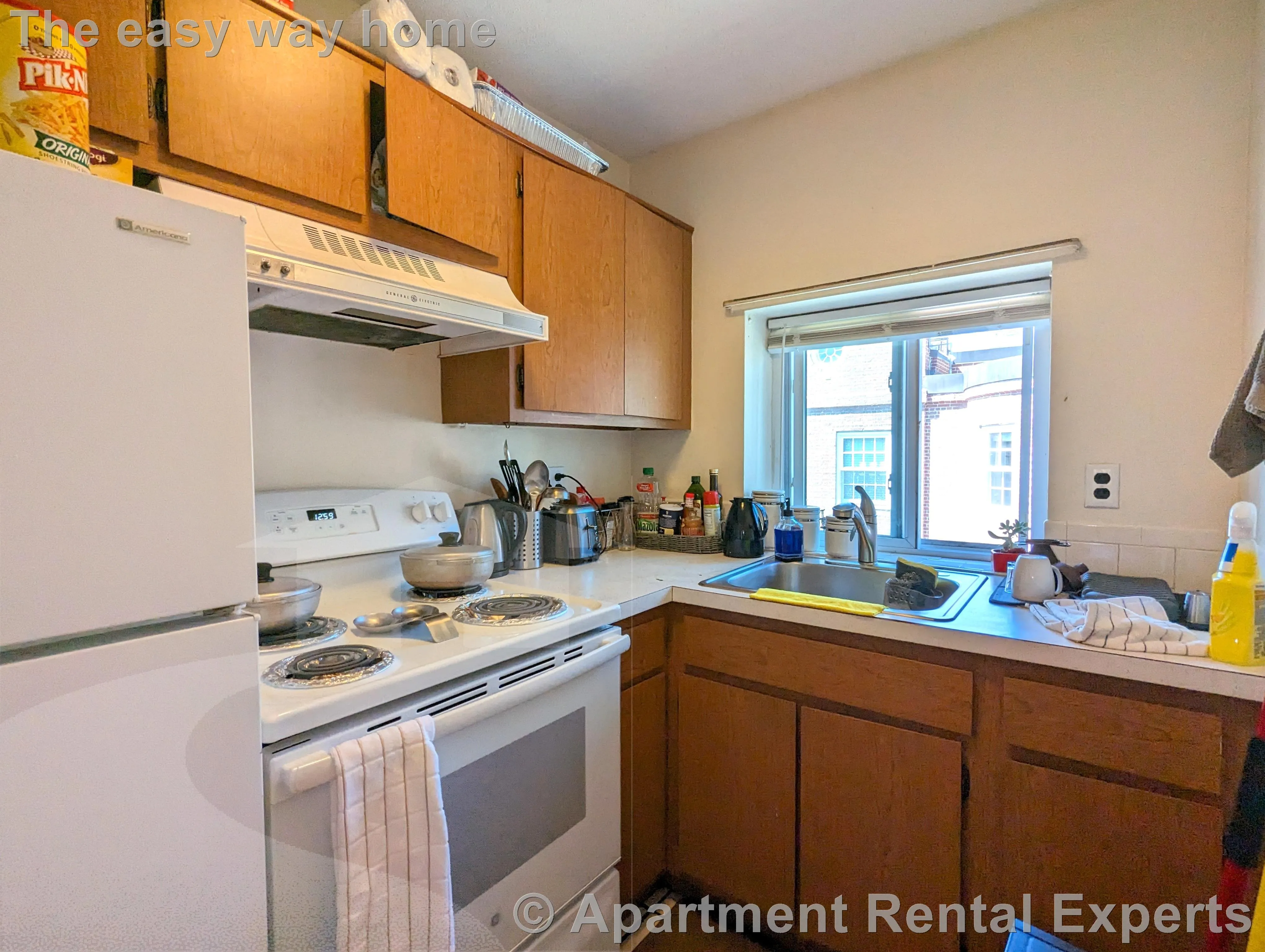 1 bed, 1 bath apartment for rent at 1003 Massachusetts Ave Unit 3, Arlington Center — photo 7 of 12