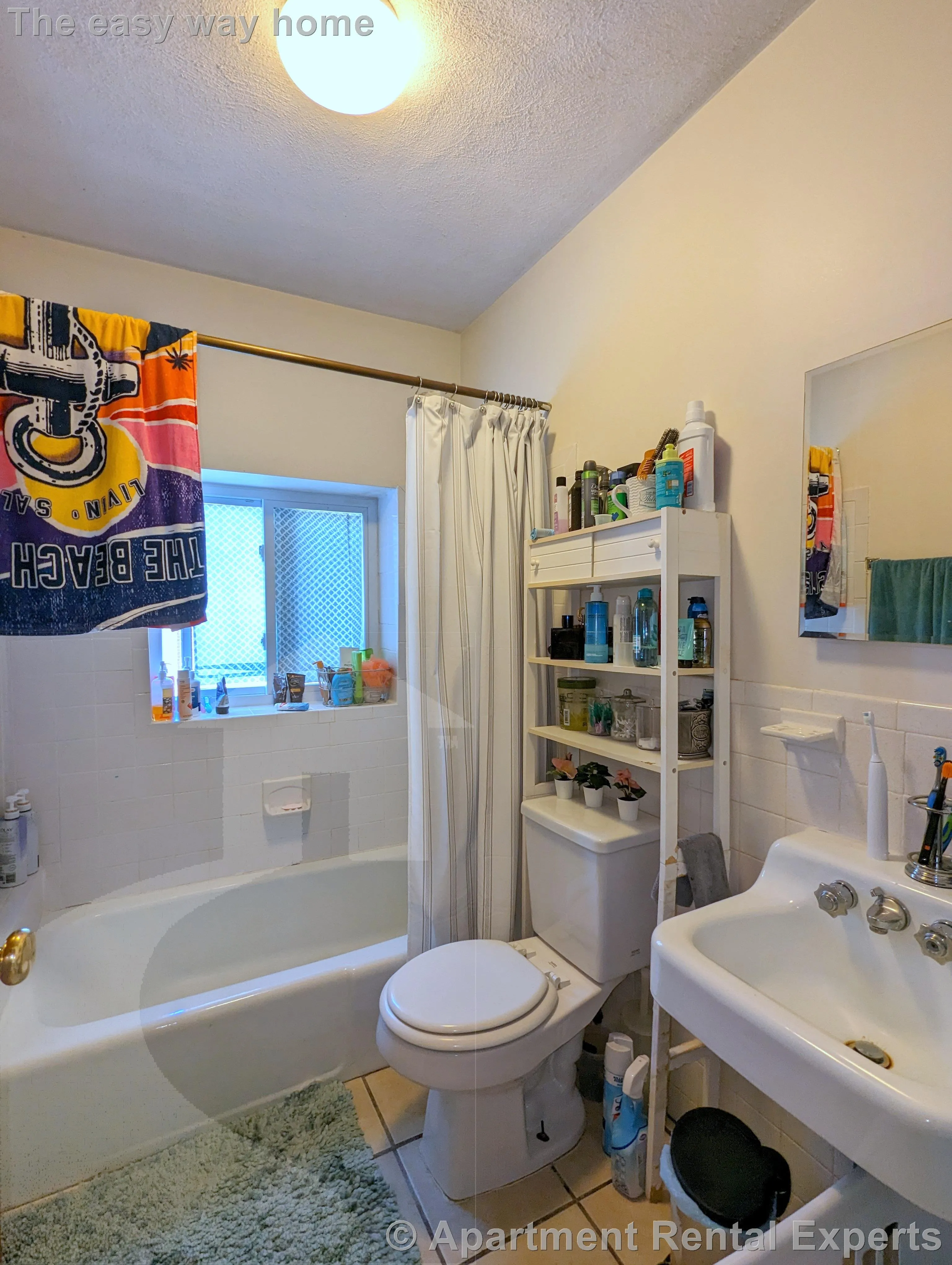 1 bed, 1 bath apartment for rent at 1003 Massachusetts Ave Unit 3, Arlington Center — photo 9 of 12