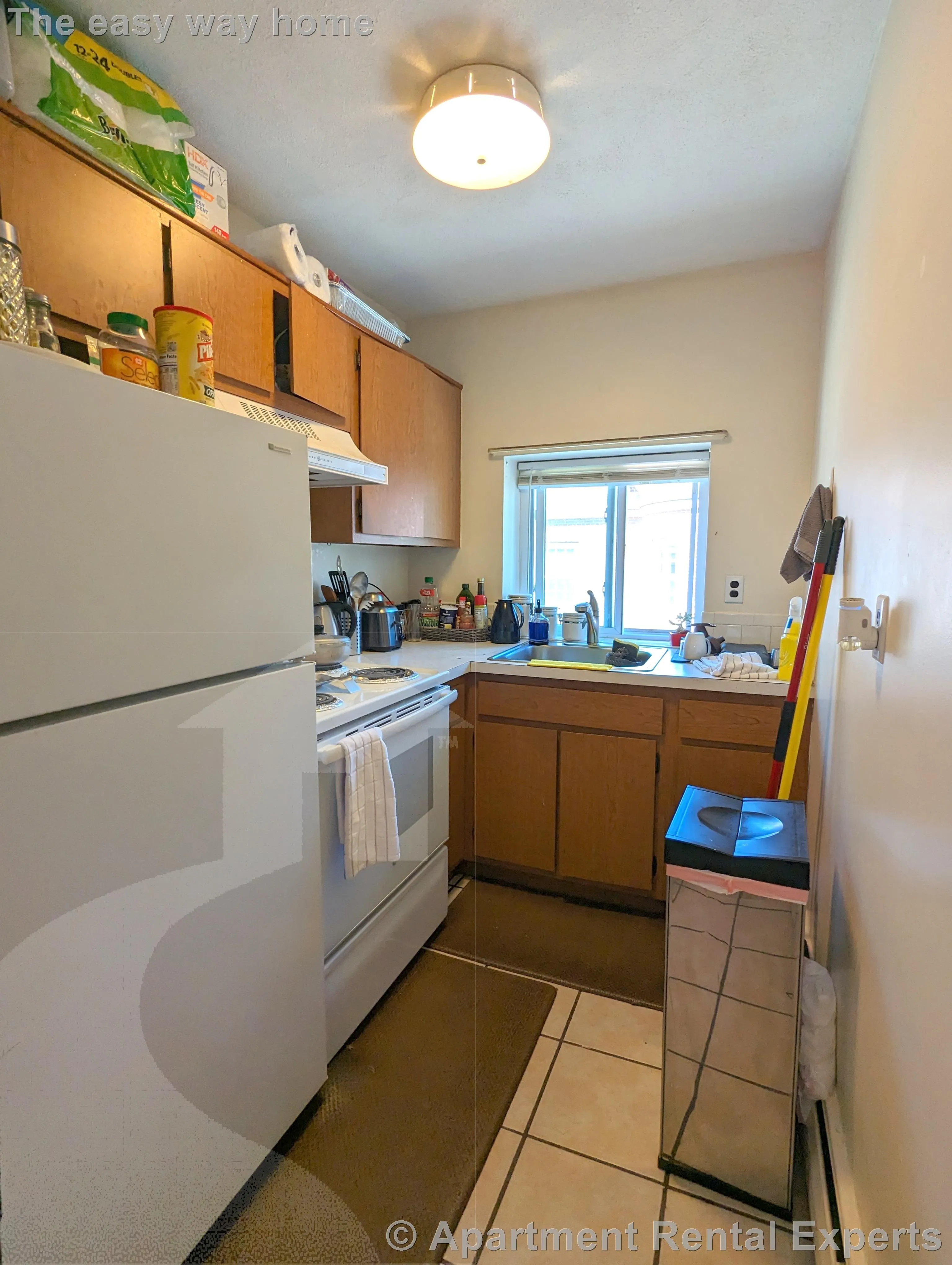 1 bed, 1 bath apartment for rent at 1003 Massachusetts Ave Unit 3, Arlington Center — photo 6 of 12