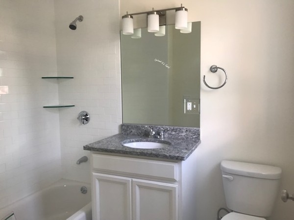2 bed, 2 bath apartment for rent at 1008 Tremont St Unit 2, Boston — photo 8 of 10