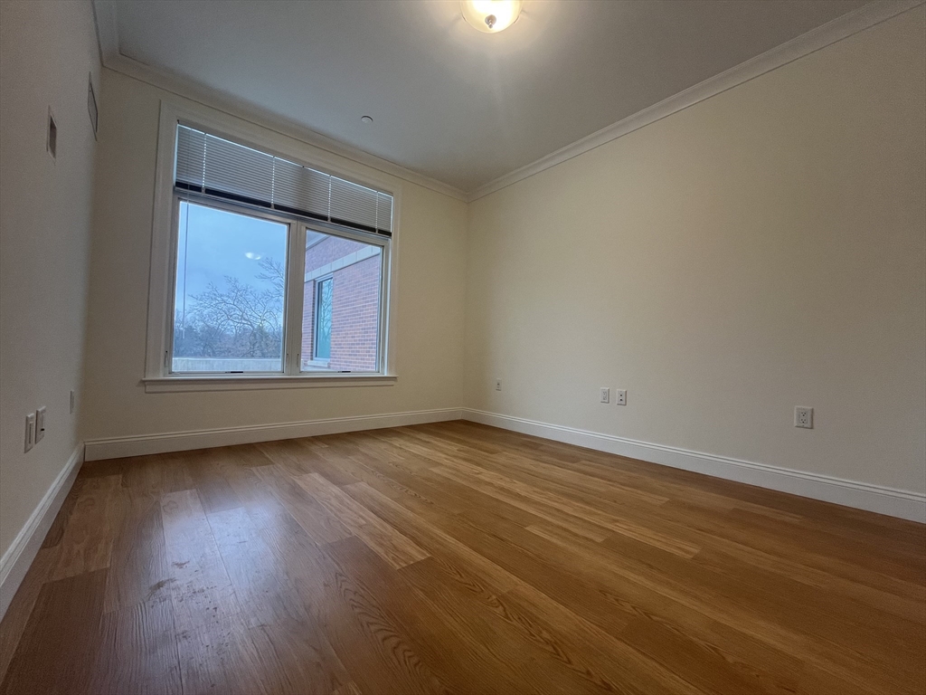 1 bed, 1 bath apartment for rent at 101 Asheville Unit 331, Chestnut Hill — photo 5 of 7
