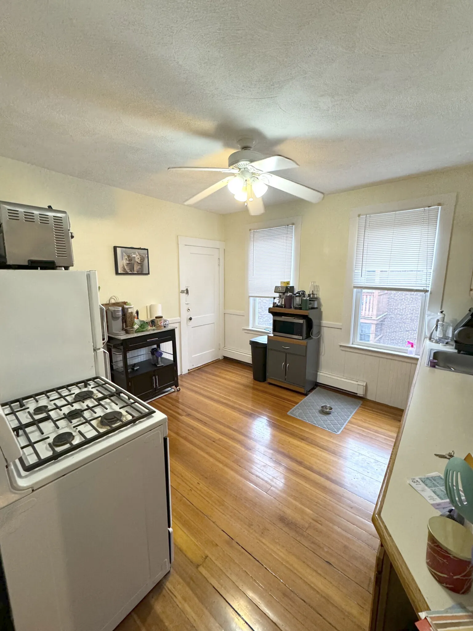 2 bed, 1 bath apartment for rent at 101 Browne St Unit 2, Coolidge Corner — photo 6 of 14