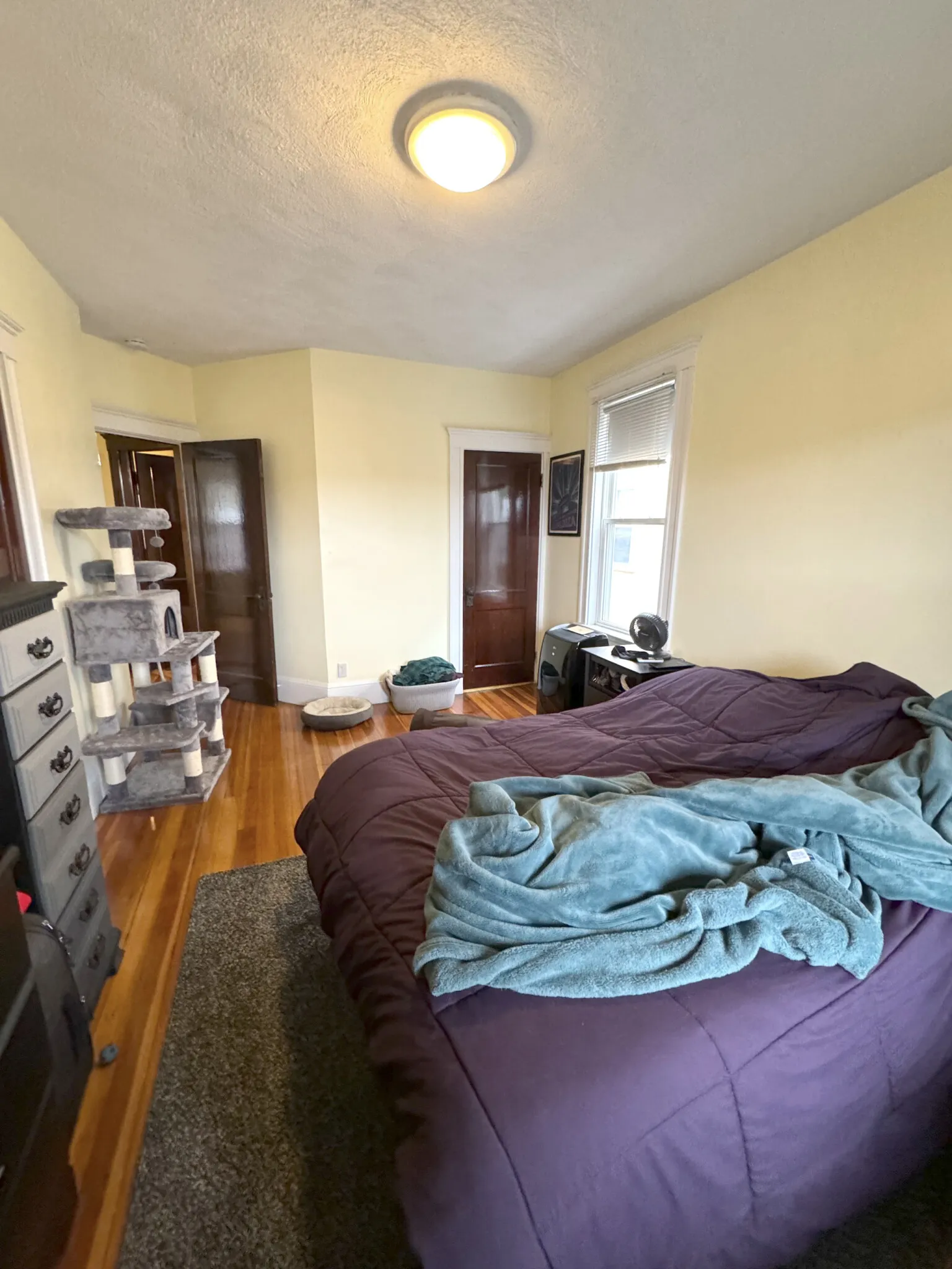 2 bed, 1 bath apartment for rent at 101 Browne St Unit 2, Coolidge Corner — photo 9 of 14