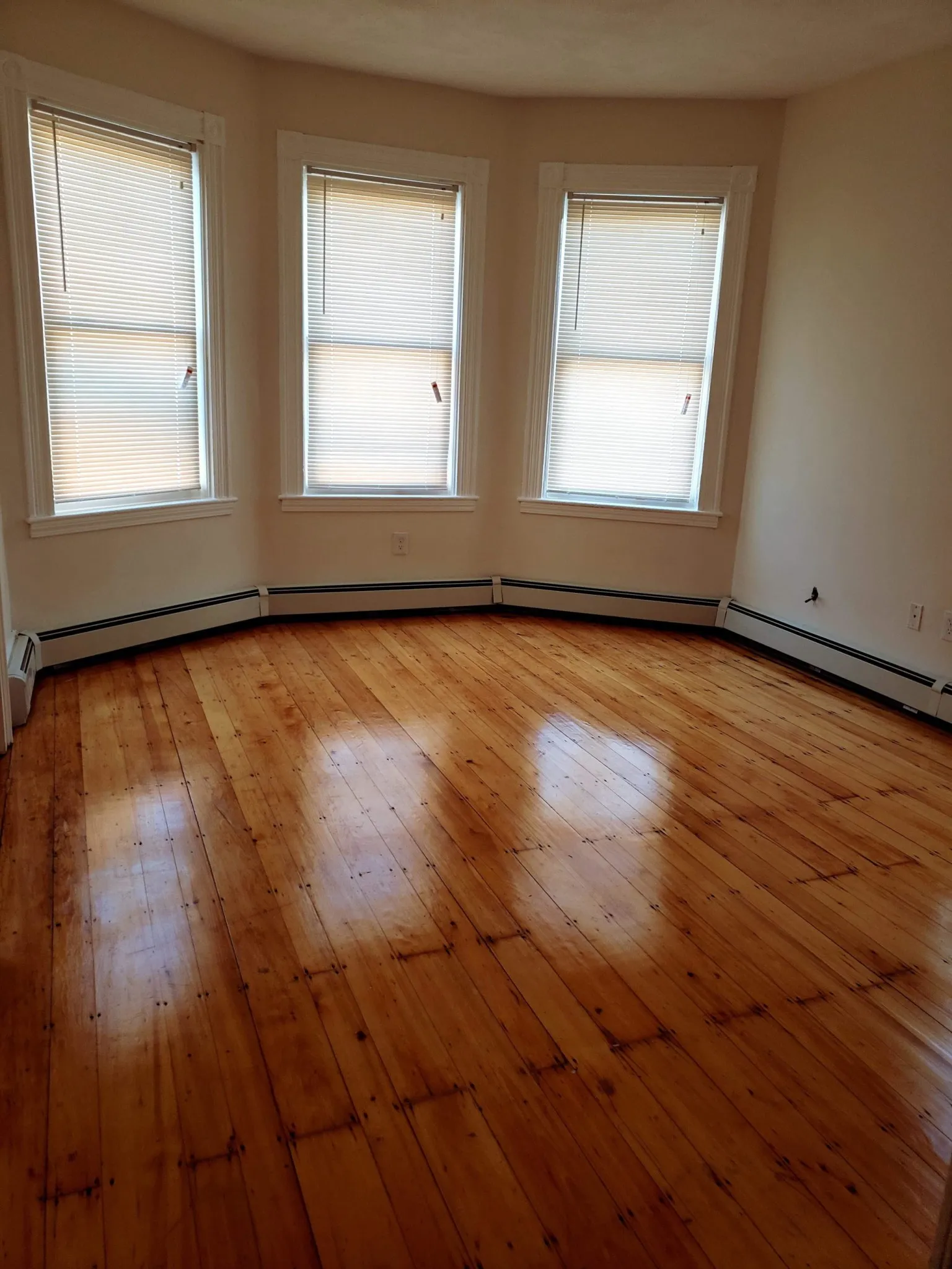 4 bed, 1 bath apartment for rent at 101 Calumet St Unit 2, Mission Hill — photo 3 of 20