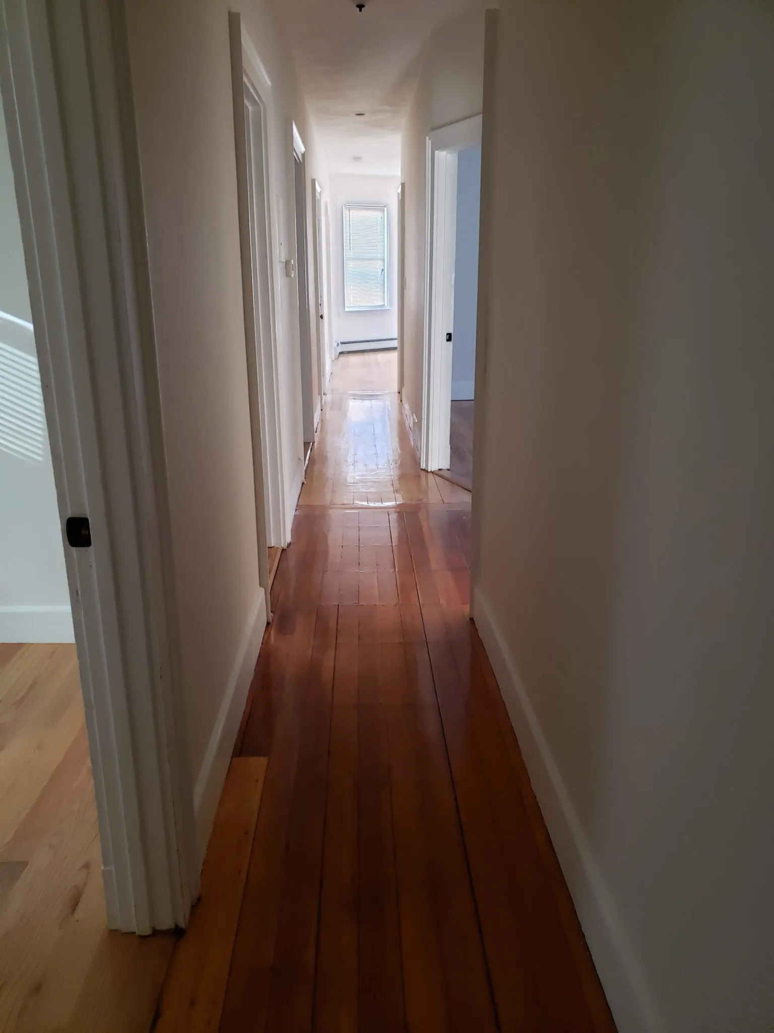 4 bed, 1 bath apartment for rent at 101 Calumet St Unit 2, Mission Hill — photo 11 of 20