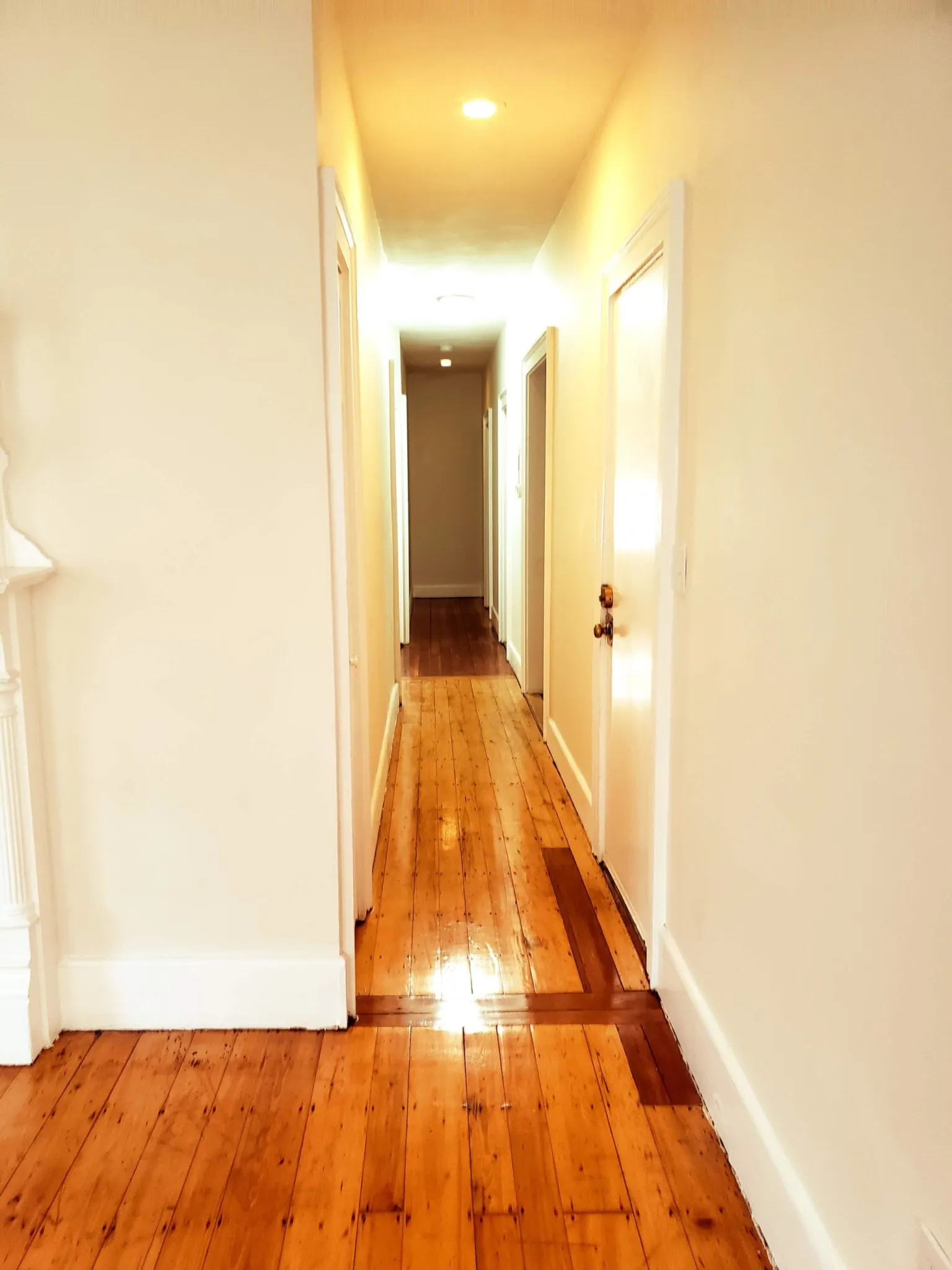 4 bed, 1 bath apartment for rent at 101 Calumet St Unit 2, Mission Hill — photo 17 of 20