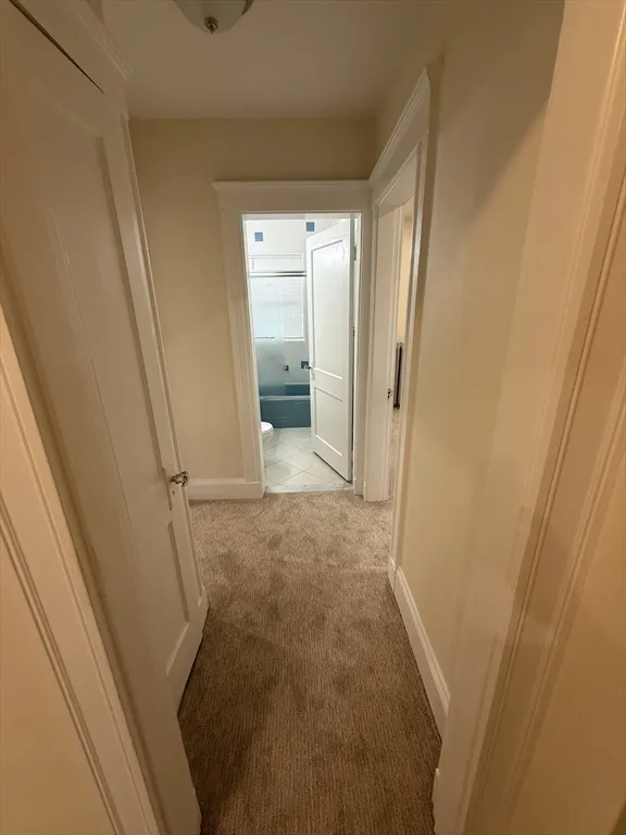 2 bed, 1 bath apartment for rent at 101 Kilsyth Rd Unit 101, Brighton — photo 11 of 17