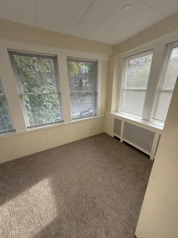 2 bed, 1 bath apartment for rent at 101 Kilsyth Rd Unit 101, Brighton — photo 13 of 17