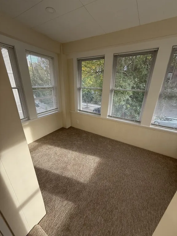 2 bed, 1 bath apartment for rent at 101 Kilsyth Rd Unit 101, Brighton — photo 14 of 17