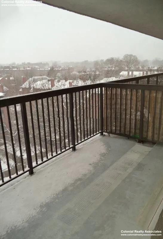 Studio bed, 1 bath apartment for rent at 101 Monmouth St Unit 612, Longwood — photo 10 of 16