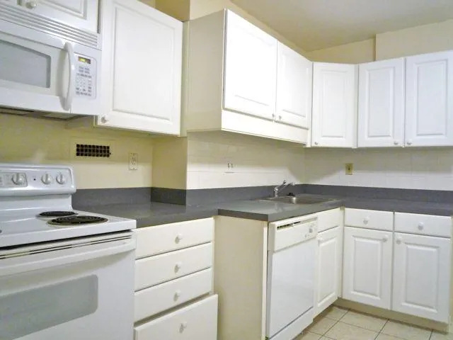 3 bed, 2 bath apartment for rent at 101 Monmouth St Unit 6601, Longwood — photo 3 of 14