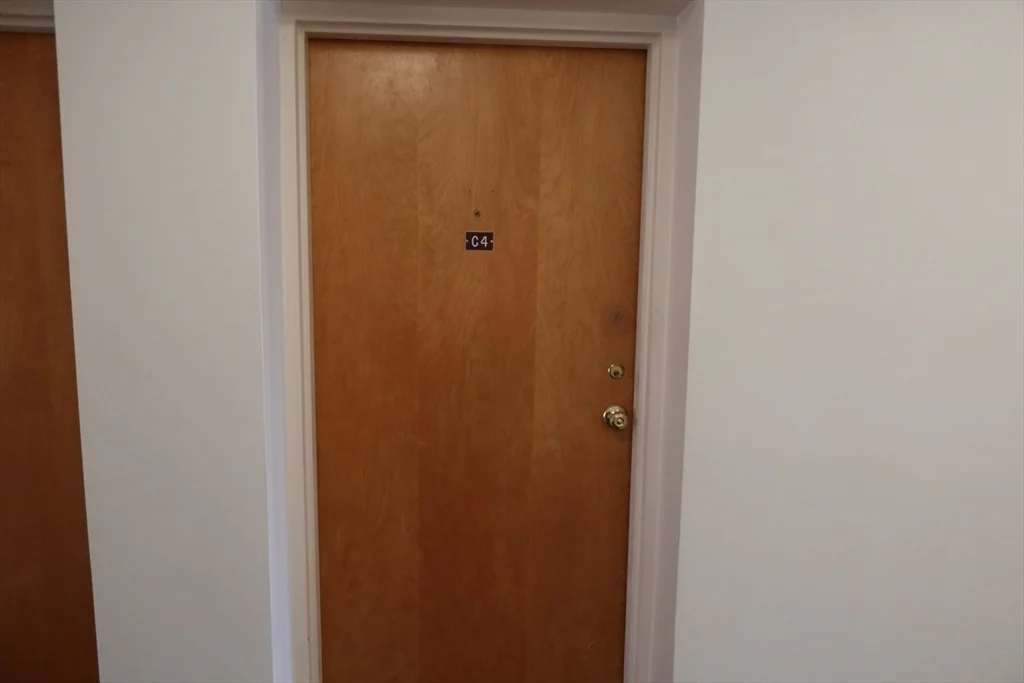 Studio bed, 1 bath apartment for rent at 101 Walker St Unit C4, Newtonville — photo 3 of 10