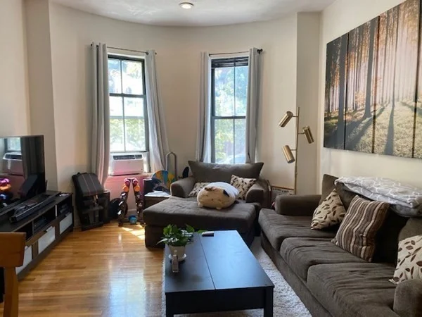 1 bed, 1 bath apartment for rent at 102 E Brookline St Unit 2, South End — photo 3 of 13