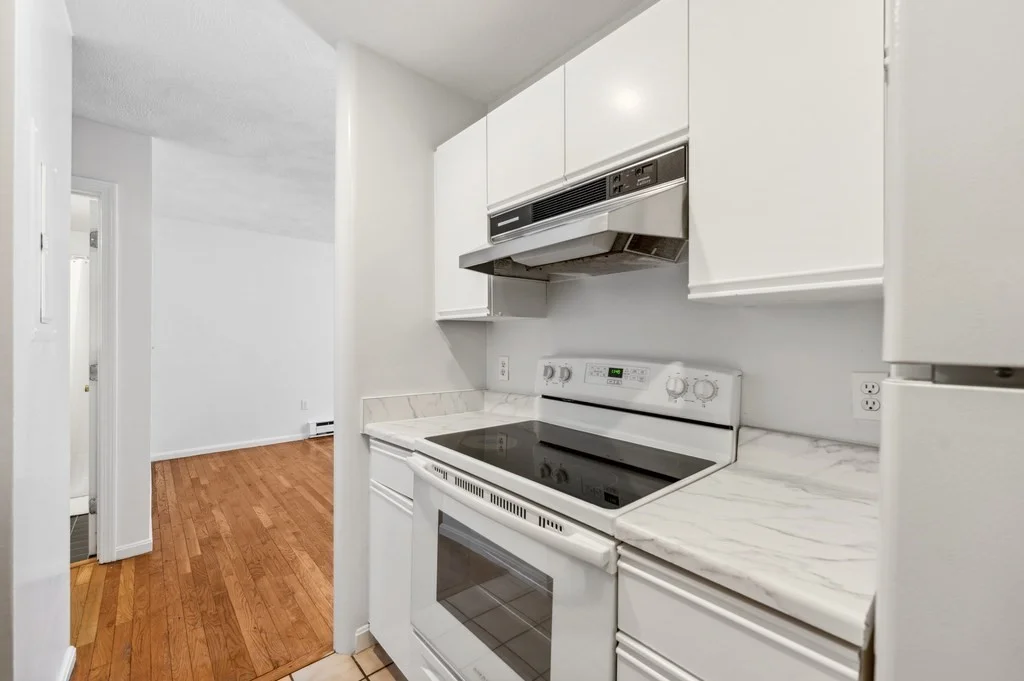 2 bed, 1 bath apartment for rent at 102 E Brookline Unit B, South End — photo 6 of 18